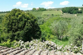 Nido di pace fra gli olivi